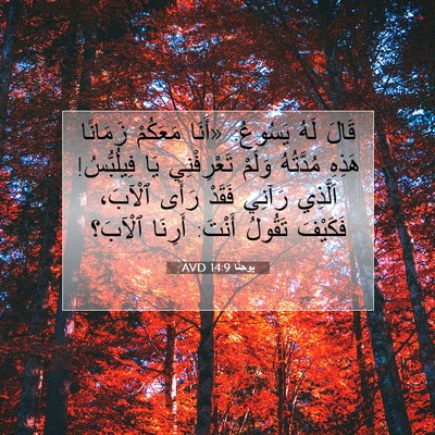 Picture 07 - يوحنَّا 14:9 AVD - قَالَ لَهُ يَسُوعُ: «أَنَا - Bible Verse Picture
