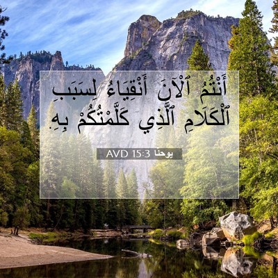 Picture 07 - يوحنَّا 15:3 AVD - أَنْتُمُ ٱلْآنَ - Bible Verse Picture