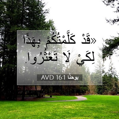 Picture 07 - يوحنَّا 16:1 AVD - «قَدْ كَلَّمْتُكُمْ - Bible Verse Picture
