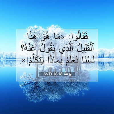 Picture 07 - يوحنَّا 16:18 AVD - فَقَالُوا: «مَا هُوَ هَذَا - Bible Verse Picture