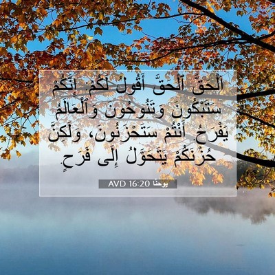 Picture 07 - يوحنَّا 16:20 AVD - اَلْحَقَّ ٱلْحَقَّ - Bible Verse Picture