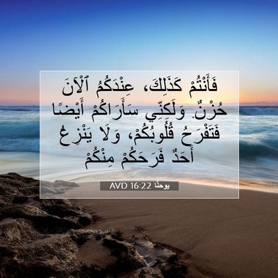 Picture 07 - يوحنَّا 16:22 AVD - فَأَنْتُمْ كَذَلِكَ، - Bible Verse Picture