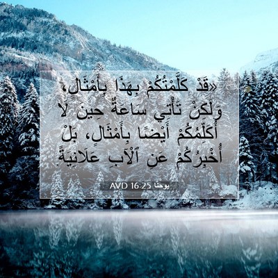 Picture 07 - يوحنَّا 16:25 AVD - «قَدْ كَلَّمْتُكُمْ - Bible Verse Picture