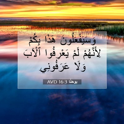 Picture 07 - يوحنَّا 16:3 AVD - وَسَيَفْعَلُونَ هَذَا - Bible Verse Picture