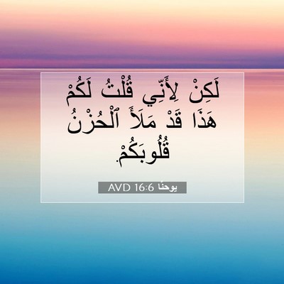 Picture 07 - يوحنَّا 16:6 AVD - لَكِنْ لِأَنِّي قُلْتُ - Bible Verse Picture