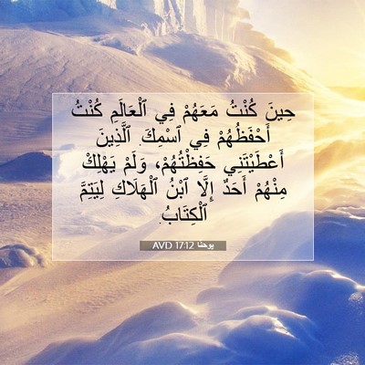 Picture 07 - يوحنَّا 17:12 AVD - حِينَ كُنْتُ مَعَهُمْ فِي - Bible Verse Picture