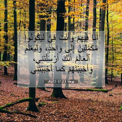 Picture 07 - يوحنَّا 17:23 AVD - أَنَا فِيهِمْ وَأَنْتَ - Bible Verse Picture