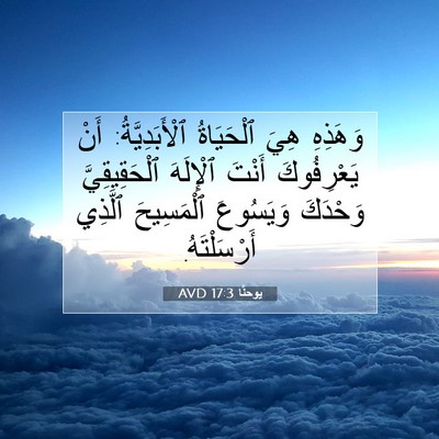 Picture 07 - يوحنَّا 17:3 AVD - وَهَذِهِ هِيَ ٱلْحَيَاةُ - Bible Verse Picture