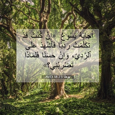 Picture 07 - يوحنَّا 18:23 AVD - أَجَابَهُ يَسُوعُ: «إِنْ - Bible Verse Picture