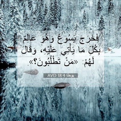 Picture 07 - يوحنَّا 18:4 AVD - فَخَرَجَ يَسُوعُ وَهُوَ - Bible Verse Picture