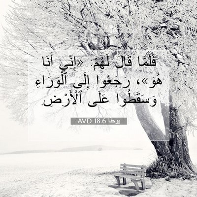 Picture 07 - يوحنَّا 18:6 AVD - فَلَمَّا قَالَ لَهُمْ: - Bible Verse Picture