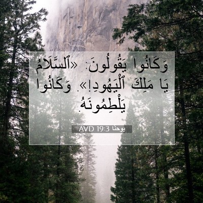 Picture 07 - يوحنَّا 19:3 AVD - وَكَانُوا يَقُولُونَ: - Bible Verse Picture