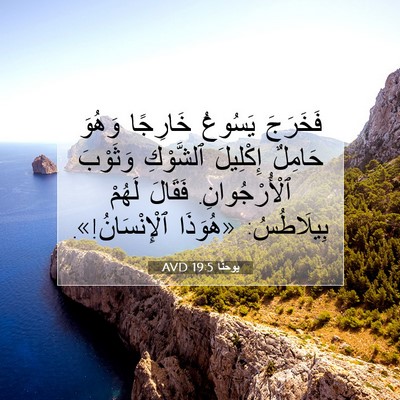 Picture 07 - يوحنَّا 19:5 AVD - فَخَرَجَ يَسُوعُ خَارِجًا - Bible Verse Picture