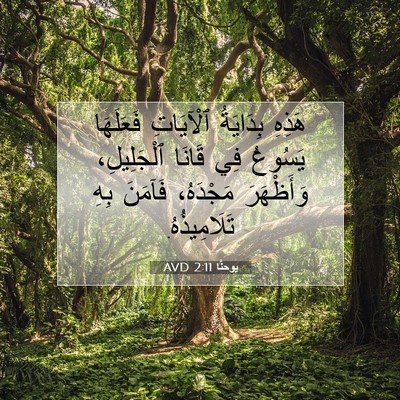 Picture 07 - يوحنَّا 2:11 AVD - هَذِهِ بِدَايَةُ - Bible Verse Picture