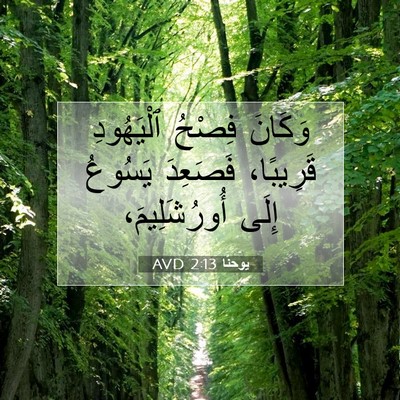 Picture 07 - يوحنَّا 2:13 AVD - وَكَانَ فِصْحُ ٱلْيَهُودِ - Bible Verse Picture