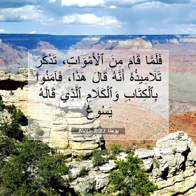Picture 07 - يوحنَّا 2:22 AVD - فَلَمَّا قَامَ مِنَ - Bible Verse Picture