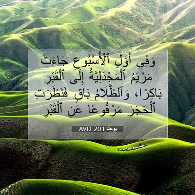 Picture 07 - يوحنَّا 20:1 AVD - وَفِي أَوَّلِ - Bible Verse Picture
