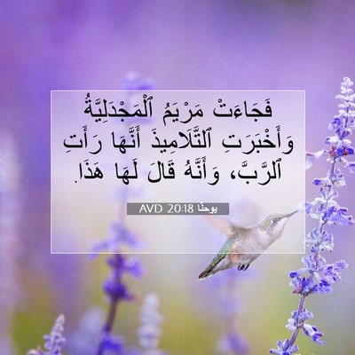 Picture 07 - يوحنَّا 20:18 AVD - فَجَاءَتْ مَرْيَمُ - Bible Verse Picture