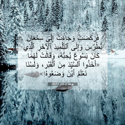 Picture 07 - يوحنَّا 20:2 AVD - فَرَكَضَتْ وَجَاءَتْ - Bible Verse Picture