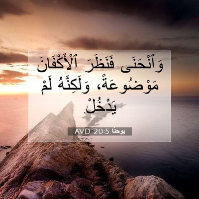Picture 07 - يوحنَّا 20:5 AVD - وَٱنْحَنَى فَنَظَرَ - Bible Verse Picture