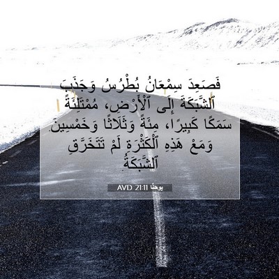 Picture 07 - يوحنَّا 21:11 AVD - فَصَعِدَ سِمْعَانُ - Bible Verse Picture