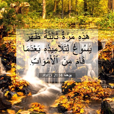 Picture 07 - يوحنَّا 21:14 AVD - هَذِهِ مَرَّةٌ ثَالِثَةٌ - Bible Verse Picture
