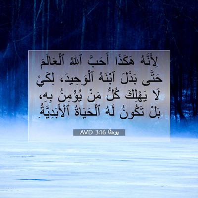 Picture 07 - يوحنَّا 3:16 AVD - لِأَنَّهُ هَكَذَا أَحَبَّ - Bible Verse Picture