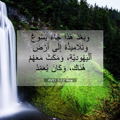 Picture 07 - يوحنَّا 3:22 AVD - وَبَعْدَ هَذَا جَاءَ - Bible Verse Picture
