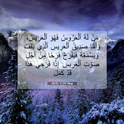 Picture 07 - يوحنَّا 3:29 AVD - مَنْ لَهُ ٱلْعَرُوسُ - Bible Verse Picture