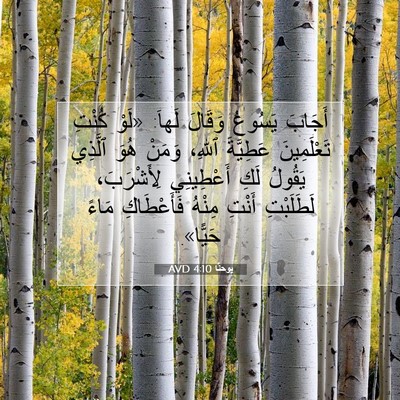 Picture 07 - يوحنَّا 4:10 AVD - أَجَابَ يَسُوعُ وَقَالَ - Bible Verse Picture