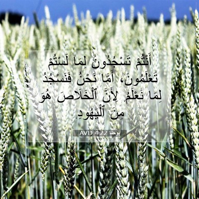 Picture 07 - يوحنَّا 4:22 AVD - أَنْتُمْ تَسْجُدُونَ - Bible Verse Picture