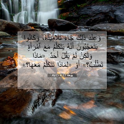Picture 07 - يوحنَّا 4:27 AVD - وَعِنْدَ ذَلِكَ جَاءَ - Bible Verse Picture