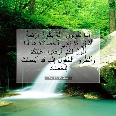 Picture 07 - يوحنَّا 4:35 AVD - أَمَا تَقُولُونَ: إِنَّهُ - Bible Verse Picture