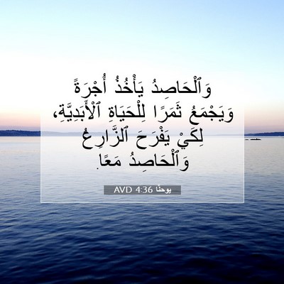 Picture 07 - يوحنَّا 4:36 AVD - وَٱلْحَاصِدُ يَأْخُذُ - Bible Verse Picture