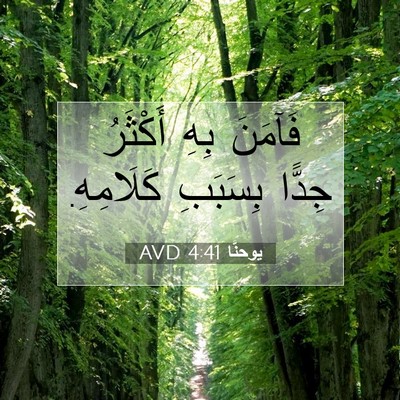 Picture 07 - يوحنَّا 4:41 AVD - فَآمَنَ بِهِ أَكْثَرُ - Bible Verse Picture
