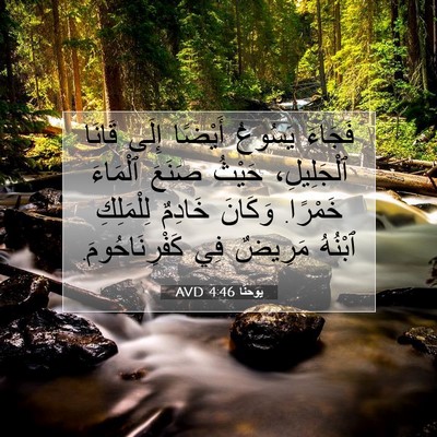 Picture 07 - يوحنَّا 4:46 AVD - فَجَاءَ يَسُوعُ أَيْضًا - Bible Verse Picture