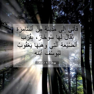 Picture 07 - يوحنَّا 4:5 AVD - فَأَتَى إِلَى مَدِينَةٍ - Bible Verse Picture