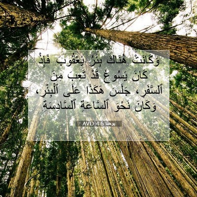 Picture 07 - يوحنَّا 4:6 AVD - وَكَانَتْ هُنَاكَ بِئْرُ - Bible Verse Picture
