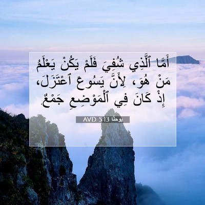 Picture 07 - يوحنَّا 5:13 AVD - أَمَّا ٱلَّذِي شُفِيَ - Bible Verse Picture