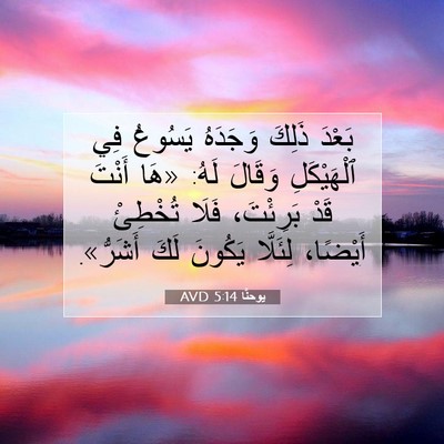 Picture 07 - يوحنَّا 5:14 AVD - بَعْدَ ذَلِكَ وَجَدَهُ - Bible Verse Picture