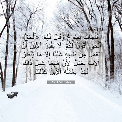 Picture 07 - يوحنَّا 5:19 AVD - فَأَجَابَ يَسُوعُ وَقَالَ - Bible Verse Picture