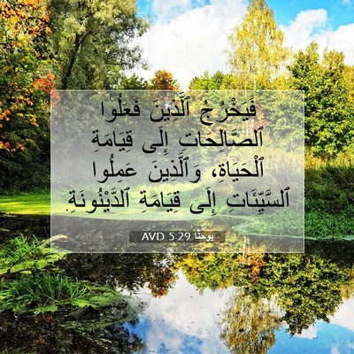 Picture 07 - يوحنَّا 5:29 AVD - فَيَخْرُجُ ٱلَّذِينَ - Bible Verse Picture
