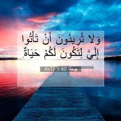 Picture 07 - يوحنَّا 5:40 AVD - وَلَا تُرِيدُونَ أَنْ - Bible Verse Picture
