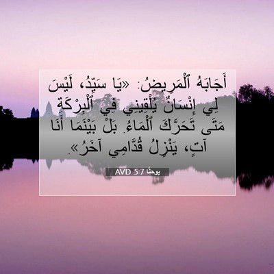 Picture 07 - يوحنَّا 5:7 AVD - أَجَابَهُ ٱلْمَرِيضُ: «يَا - Bible Verse Picture