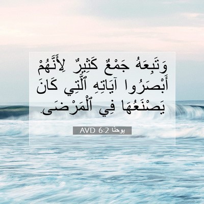 Picture 07 - يوحنَّا 6:2 AVD - وَتَبِعَهُ جَمْعٌ كَثِيرٌ - Bible Verse Picture