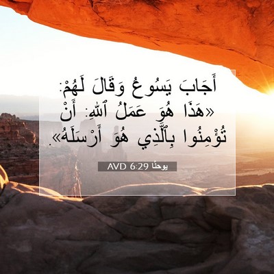 Picture 07 - يوحنَّا 6:29 AVD - أَجَابَ يَسُوعُ وَقَالَ - Bible Verse Picture