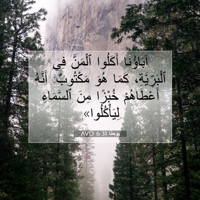 Picture 07 - يوحنَّا 6:31 AVD - آبَاؤُنَا أَكَلُوا - Bible Verse Picture