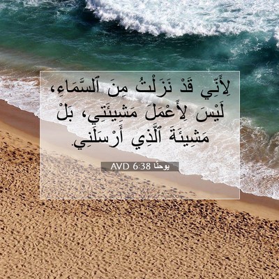 Picture 07 - يوحنَّا 6:38 AVD - لِأَنِّي قَدْ نَزَلْتُ - Bible Verse Picture