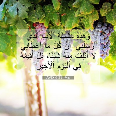 Picture 07 - يوحنَّا 6:39 AVD - وَهَذِهِ مَشِيئَةُ ٱلْآبِ - Bible Verse Picture