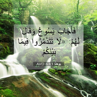 Picture 07 - يوحنَّا 6:43 AVD - فَأَجَابَ يَسُوعُ وَقَالَ - Bible Verse Picture